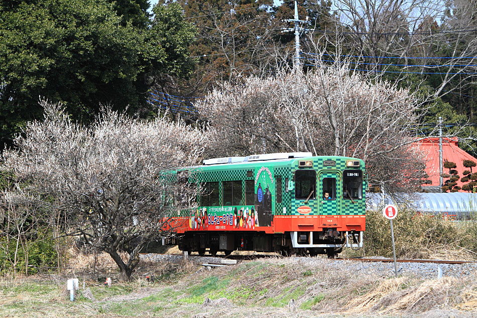 真岡鐡道の写真