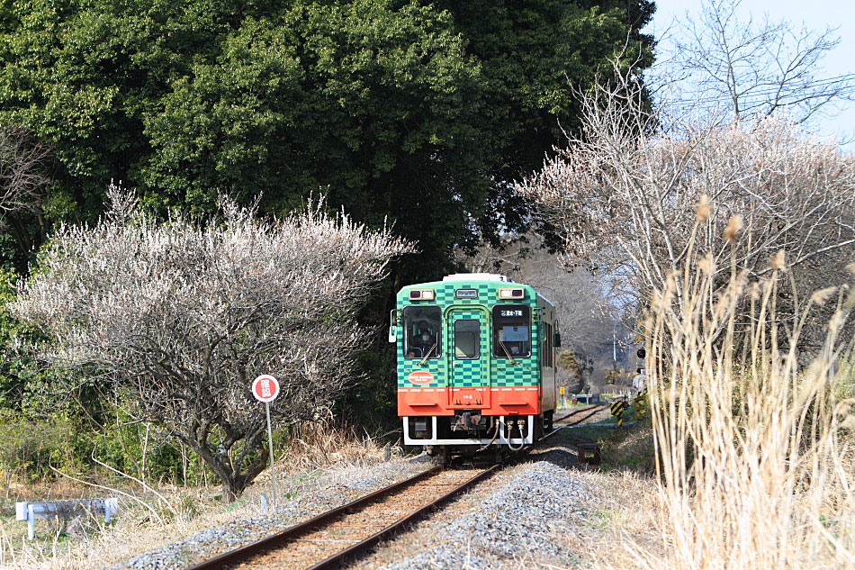 真岡鐡道の写真