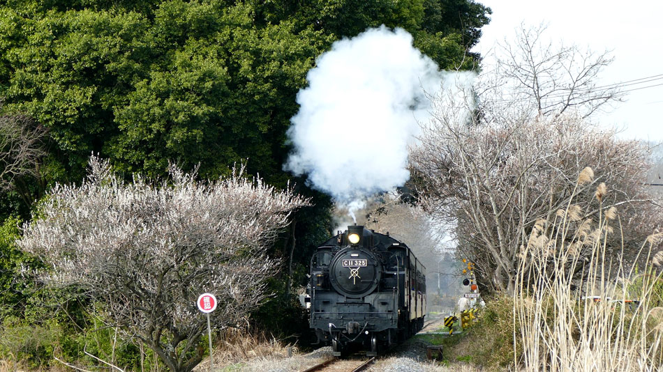 真岡鐡道の写真