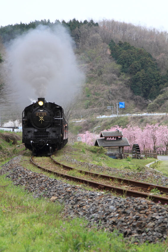 真岡鐡道の写真