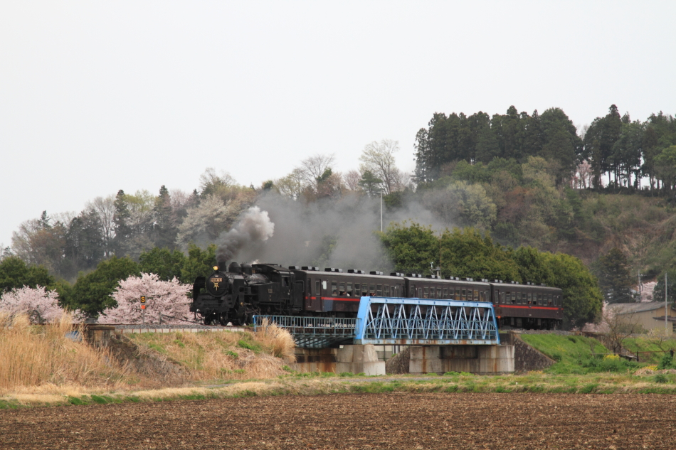 真岡鐡道の写真