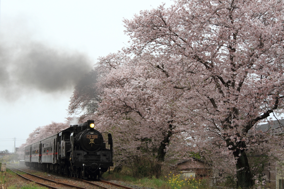 真岡鐡道の写真