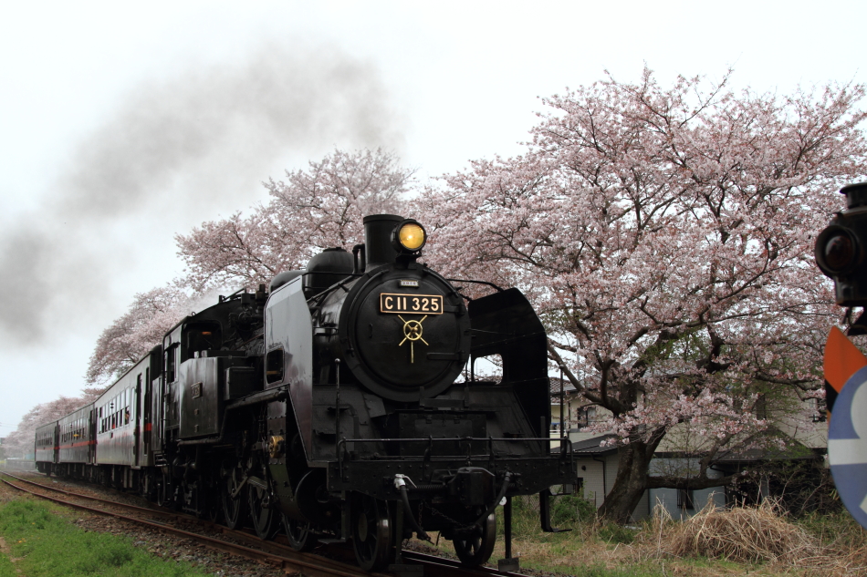 真岡鐡道の写真