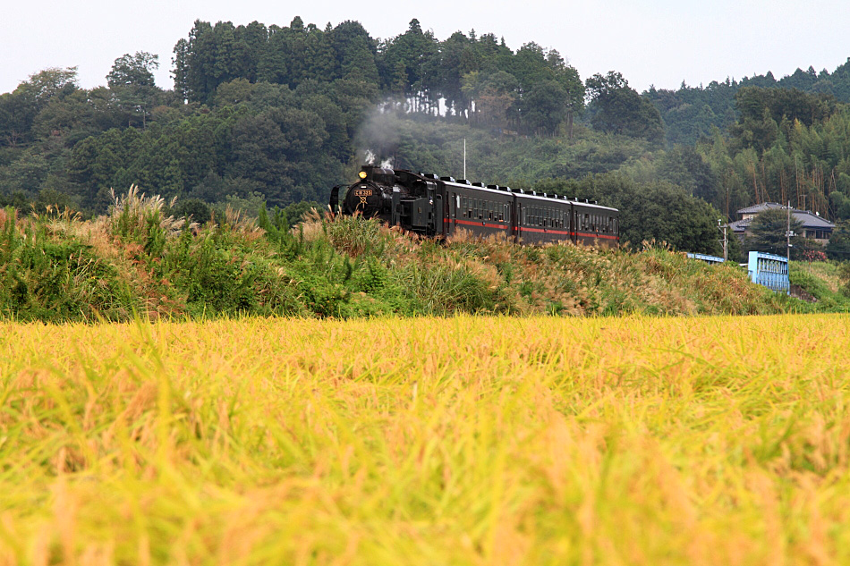 真岡鐡道の写真