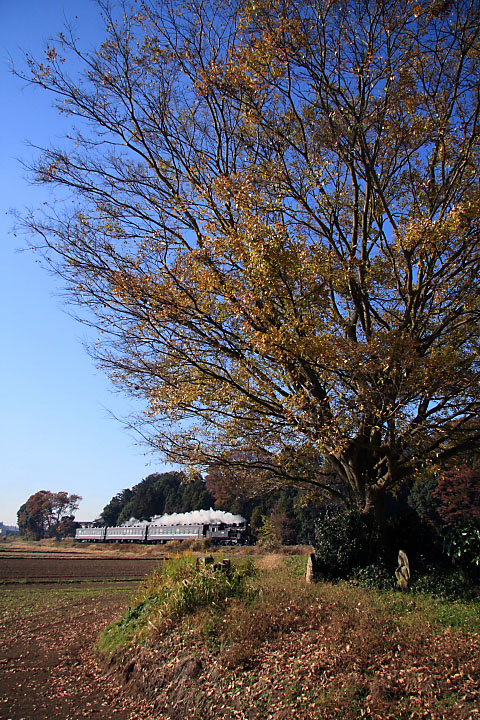 真岡鐡道の写真