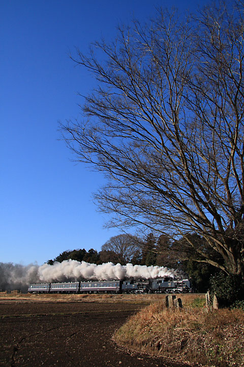 真岡鐡道の写真