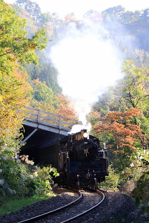 只見線の写真