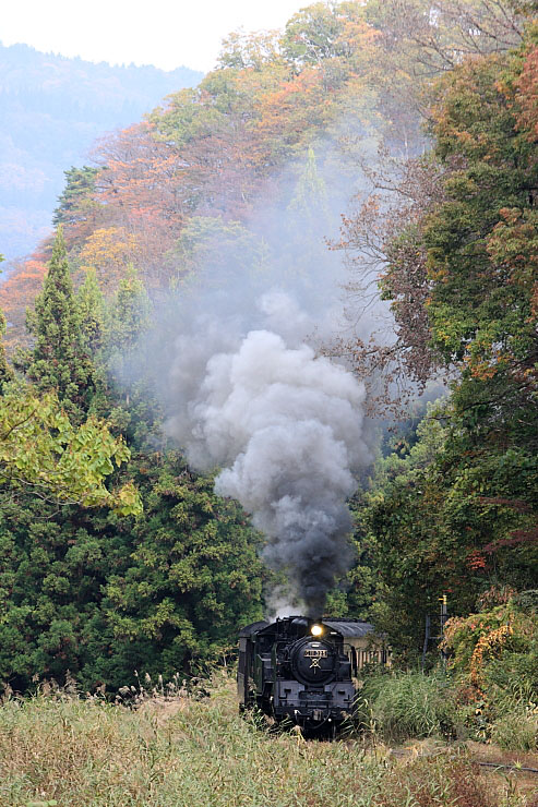 只見線の写真