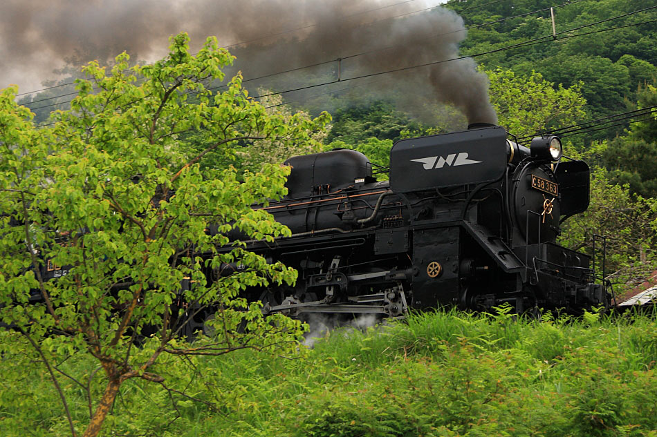 秩父鉄道の写真