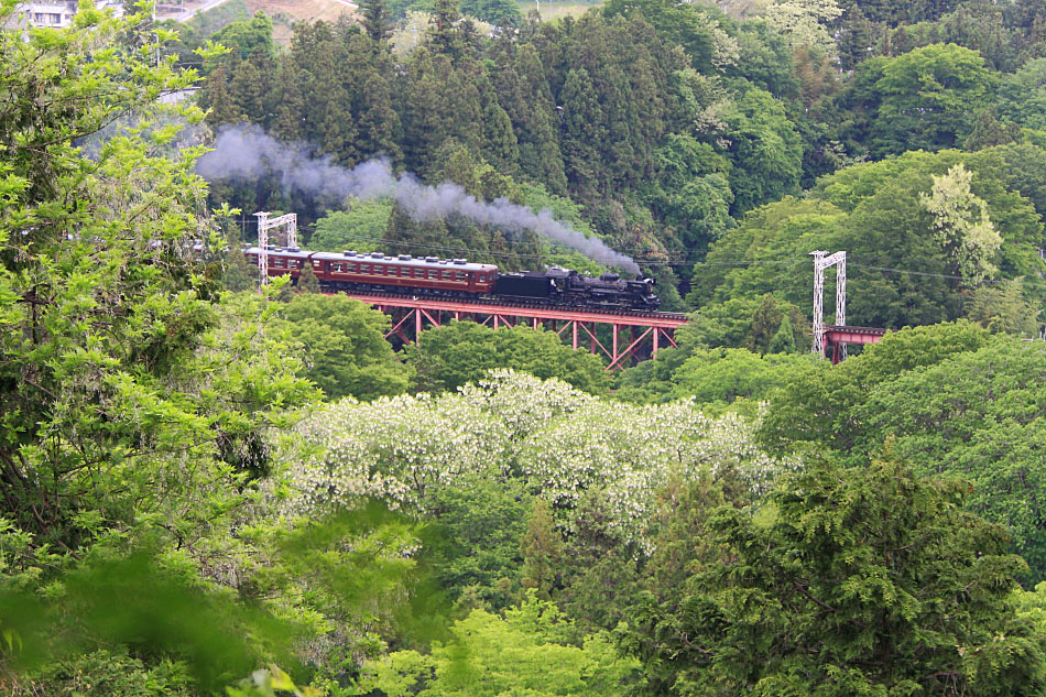 秩父鉄道の写真