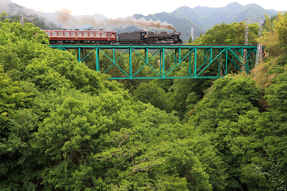 秩父鉄道の写真