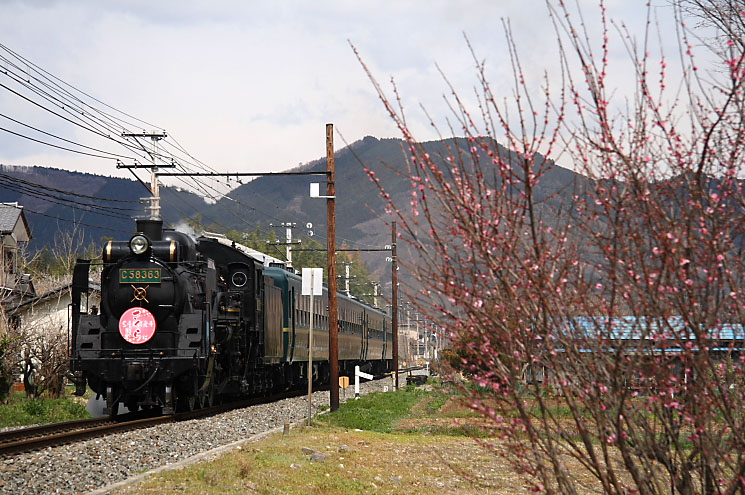 秩父鉄道の写真