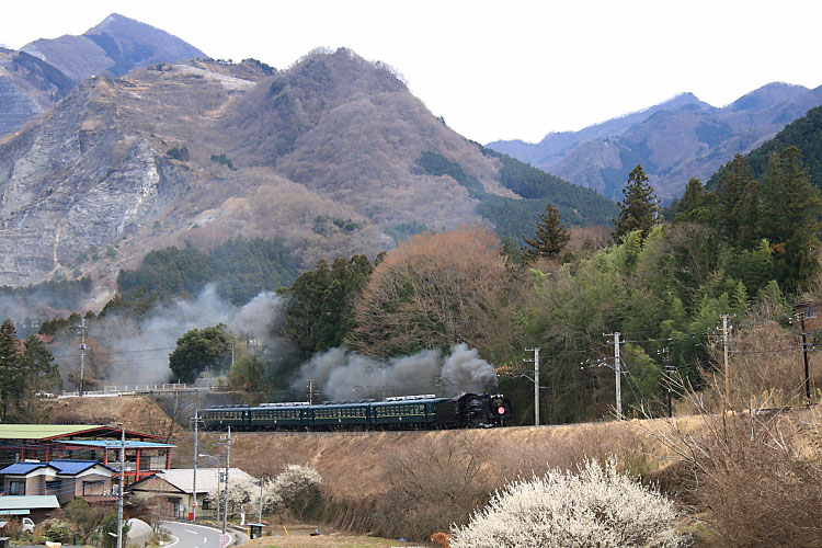 秩父鉄道の写真