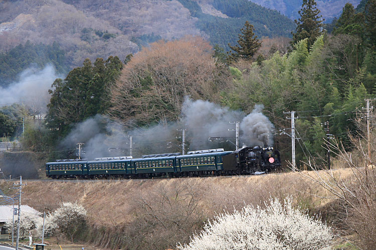 秩父鉄道の写真