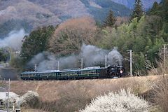 蒸気機関車イメージ画像