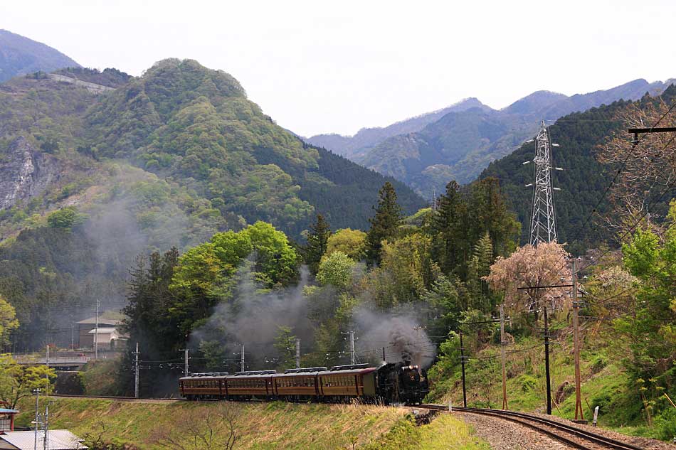 秩父鉄道の写真