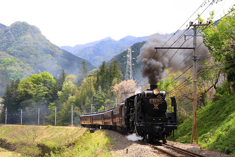 秩父鉄道の写真