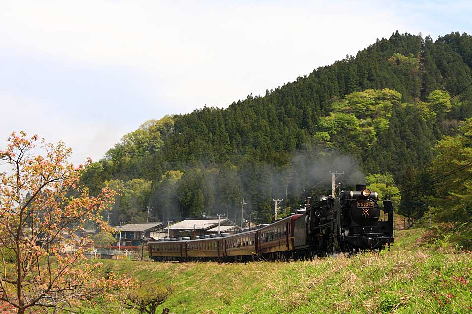 秩父鉄道の写真