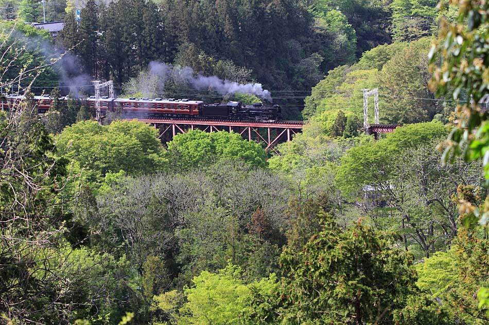 秩父鉄道の写真