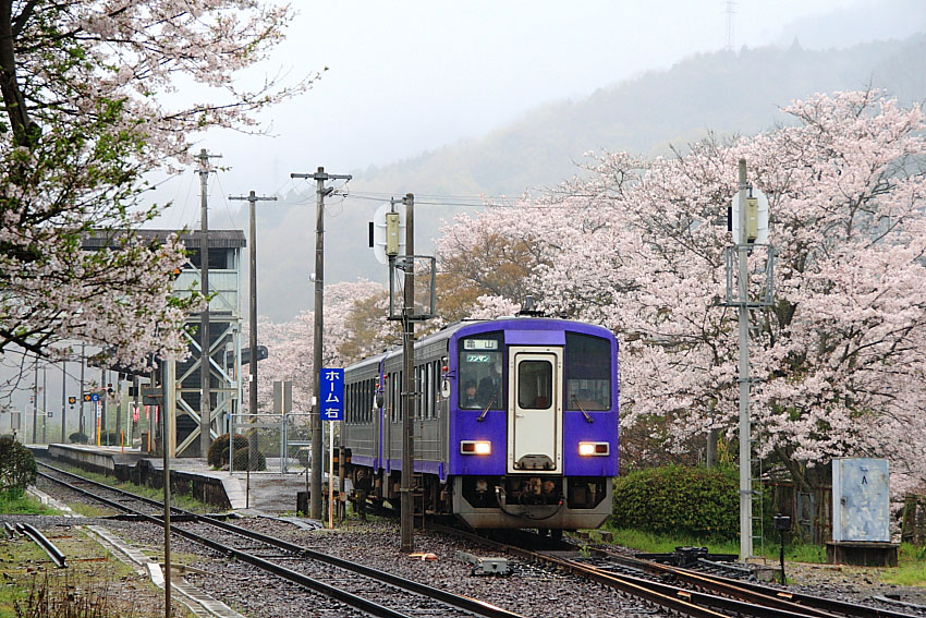 気動車の写真