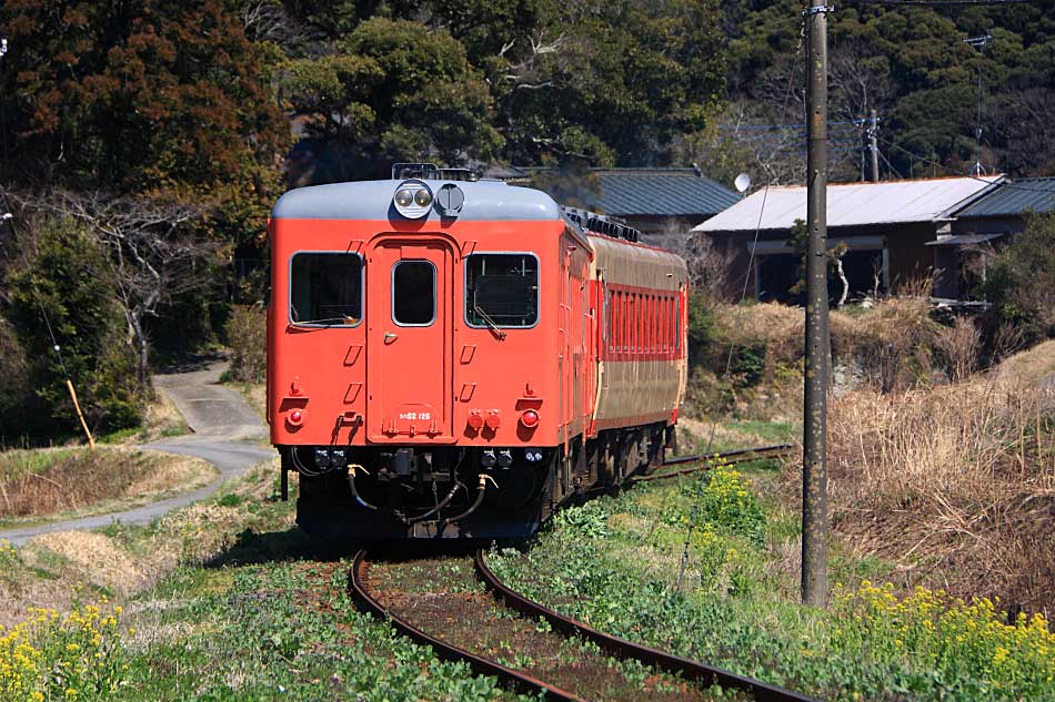 気動車の写真