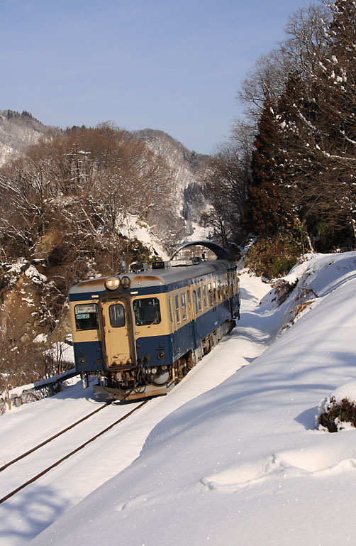 気動車の写真