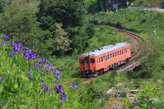 気動車の画像