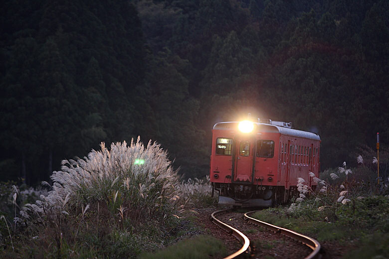 気動車の写真