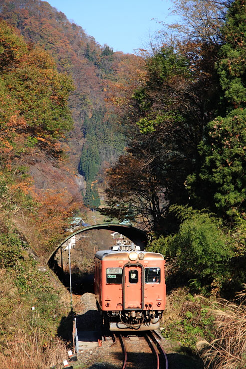 気動車の写真