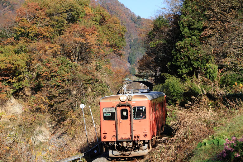 気動車の写真