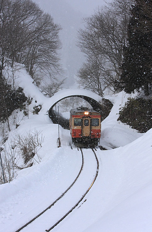 気動車の写真