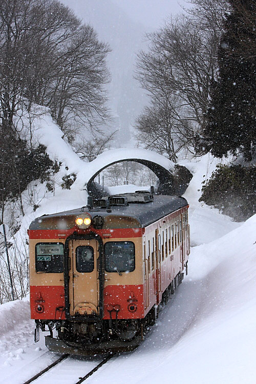 気動車の写真