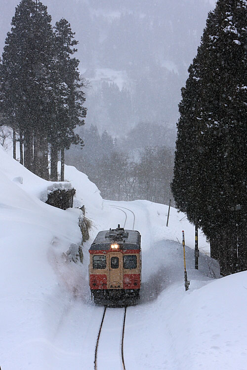 気動車の写真