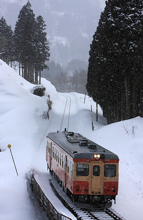 気動車の写真