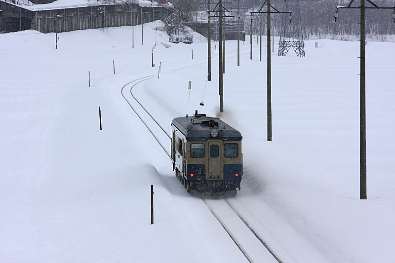 気動車の写真