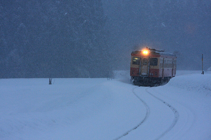 気動車の写真