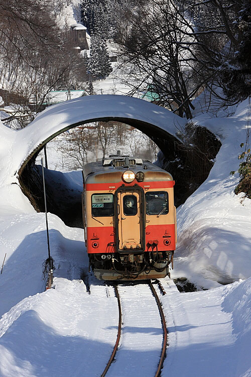 気動車の写真