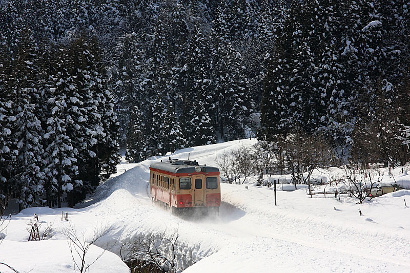 気動車の写真