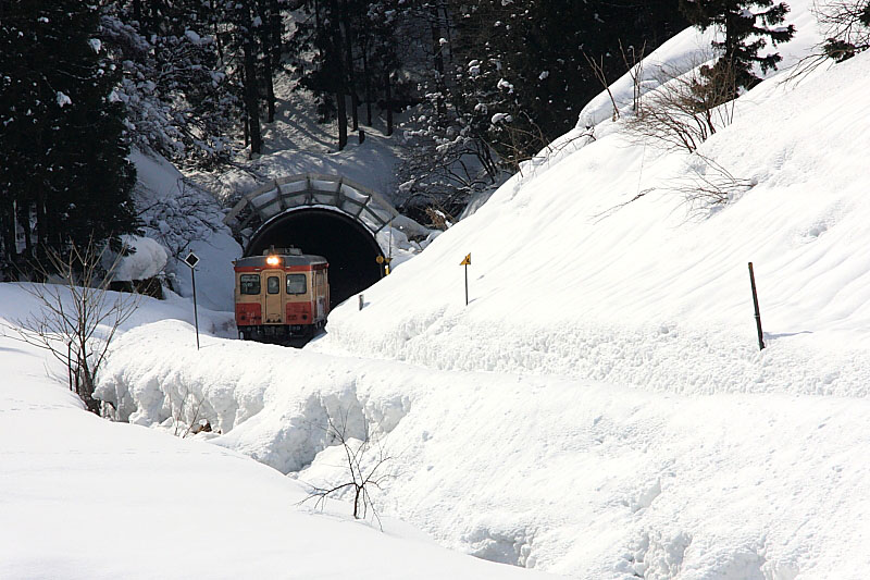 気動車の写真