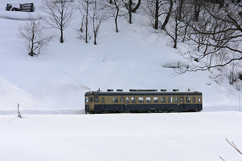 気動車の写真