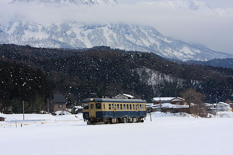 気動車の写真