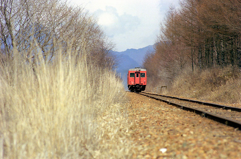 気動車の写真