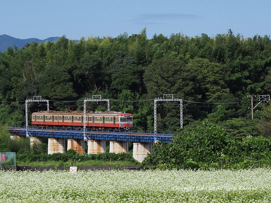 電気機関車の写真